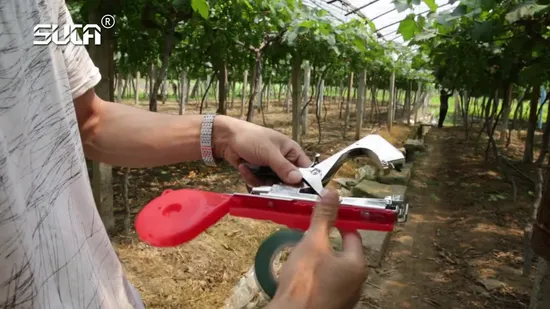 Лента из полиэтилена для сельского хозяйства для поставщика ленточных инструментов Лента из ПВХ для обвязки растений