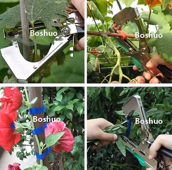 China Horticulture Plastic PVC PE Sturdy Strech Waterproof Garden Tapetool Plant 4 6 8 12 Mil Green Tie Tape for Grapes Tomatoes Peppers Cucumbers Beans Fixing