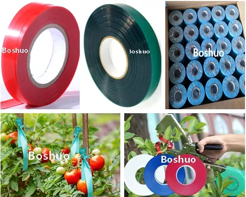 China Horticulture Plastic PVC PE Sturdy Strech Waterproof Garden Tapetool Plant 4 6 8 12 Mil Green Tie Tape for Grapes Tomatoes Peppers Cucumbers Beans Fixing